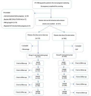 Clinical characteristics of hepatitis flares during pregnancy and postpartum in Chinese chronic hepatitis B virus carriers—a prospective cohort study of 417 cases